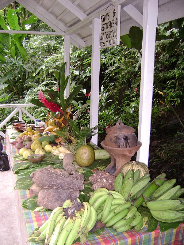 Library - 4908.jpg - Locally grown fruits and veggies, botanical gardens, Soufriere